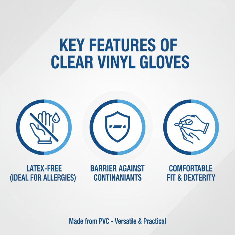 What is Wholesale OEM Clear Vinyl Gloves and Their Uses?
