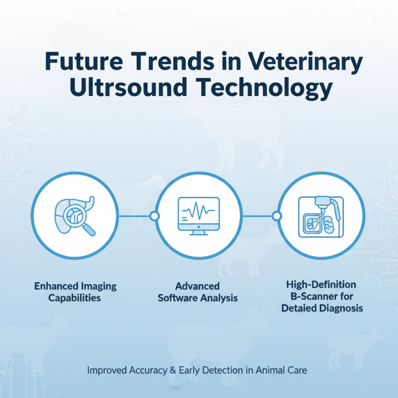 Top 10 Veterinary Ultrasound Scanners for Global Buyers?