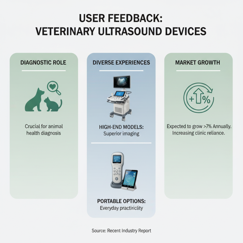 Top 10 Veterinary Ultrasound Scanners for Global Buyers?