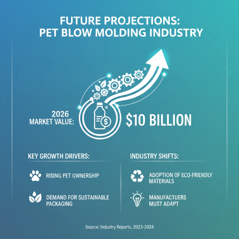 2026 Best Pet Blow Molding Products for Global Buyers?
