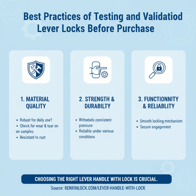 How to Choose the Best Lever Lock for Global Procurement?