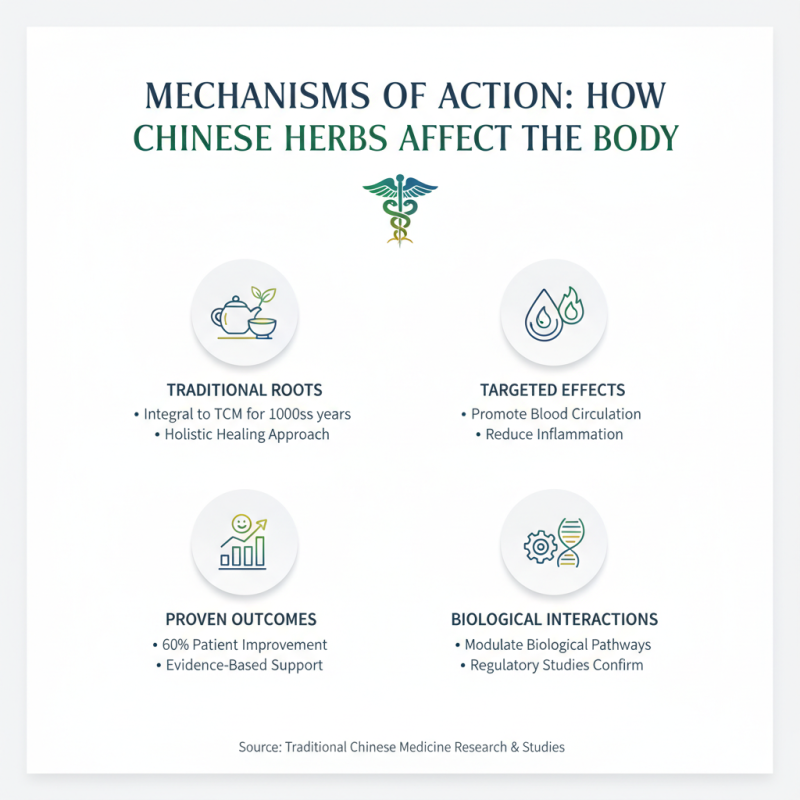 What is the Role of Chinese Herbs in Traditional Medicine?