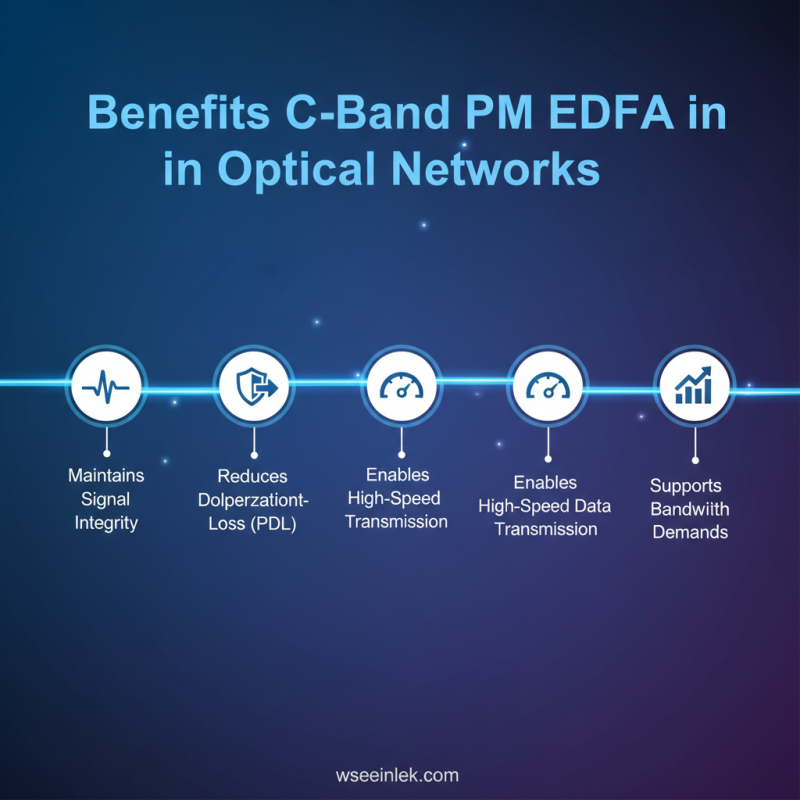 Top 10 Band Pm Edfa Solutions for Global Buyers?
