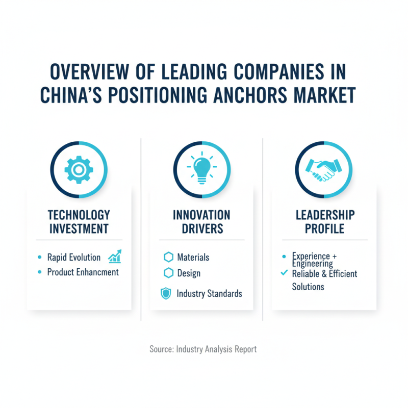 China Top Positioning Anchors Company Overview and Industry Insights?