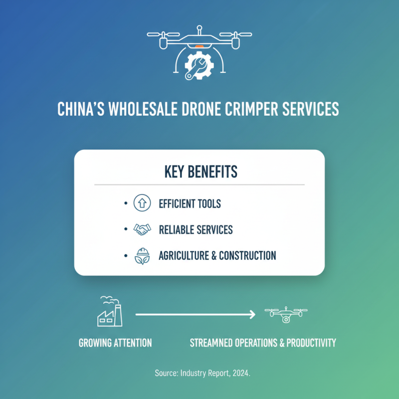 Top 5 Wholesale China Drone Crimper Service Providers for Your Business Needs?