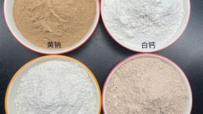 Montmorillonite Cat Litter.jpg