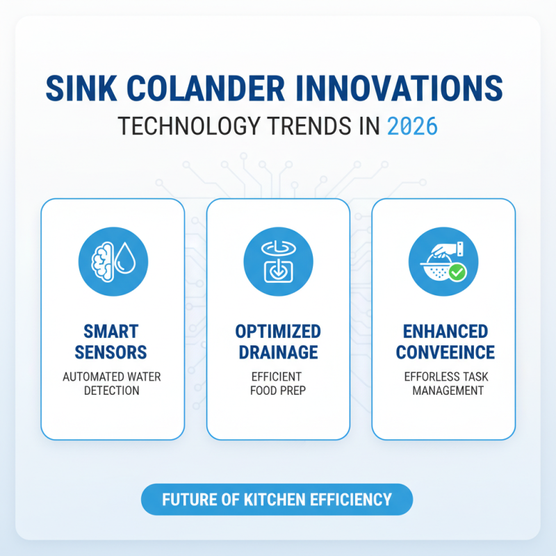 2026 Best Sink Colander Options for Global Buyers?