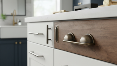 Top 10 Tips for Choosing the Best Cabinet Pull Handles?