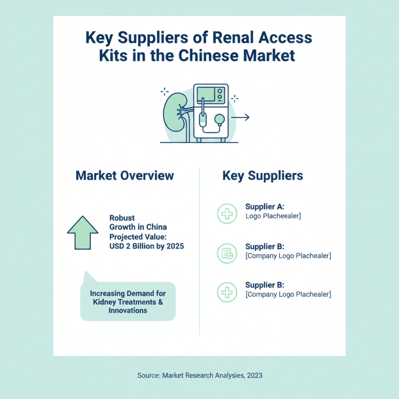 CE Certification China Renal Access Kit Suppliers Overview and Insights?