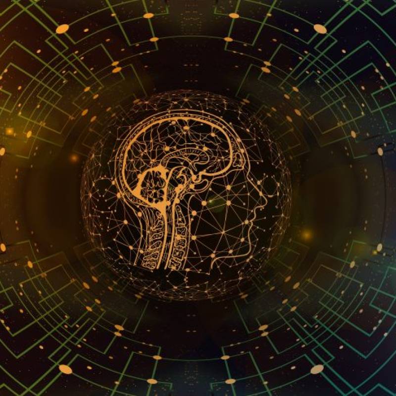 AI Last Mile Problem: Bridging Model Capability and Cost Sustainability with Imperfect Data