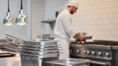 China Best OEM Custom Horeca Food Pan Suppliers for Quality Kitchen Solutions?