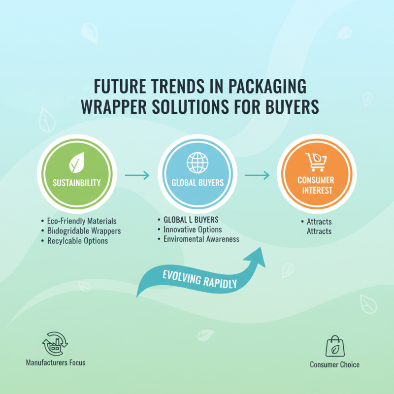 Top 10 Packaging Wrapper Solutions for Global Buyers?