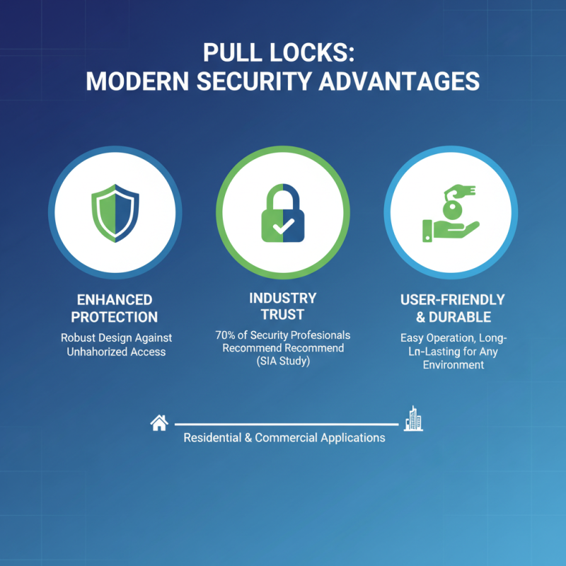 Top 10 Benefits of Using Pull Locks for Security Solutions?