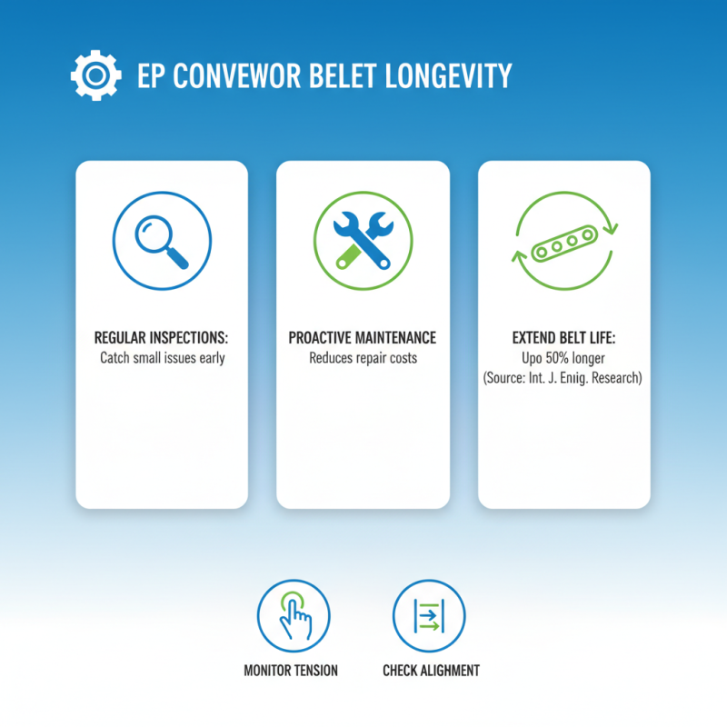 Best Ep Conveyor Belts for Efficient Material Handling?