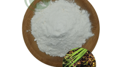 saw palmetto extract powder.png