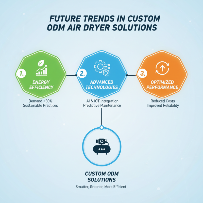 What is a Custom ODM Compressed Air Dryer Supplier?