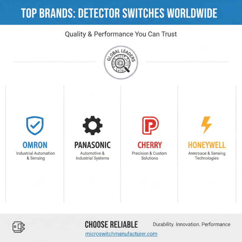 What is the Best Detector Switch for Global Buyers?