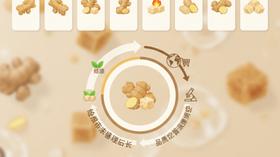 Top 10 Ginger Sugar Suppliers in China for Global Buyers?