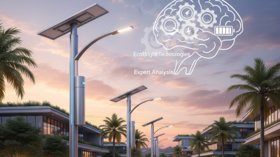 Best Solar Street Light Battery Options for Global Buyers?