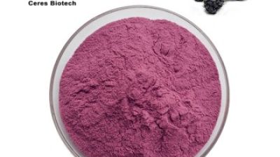 Mulberry Juice Powder.jpg