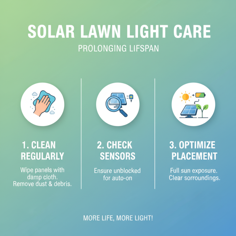 2026 Top Solar Lawn Light Features for Eco Friendly Gardens?