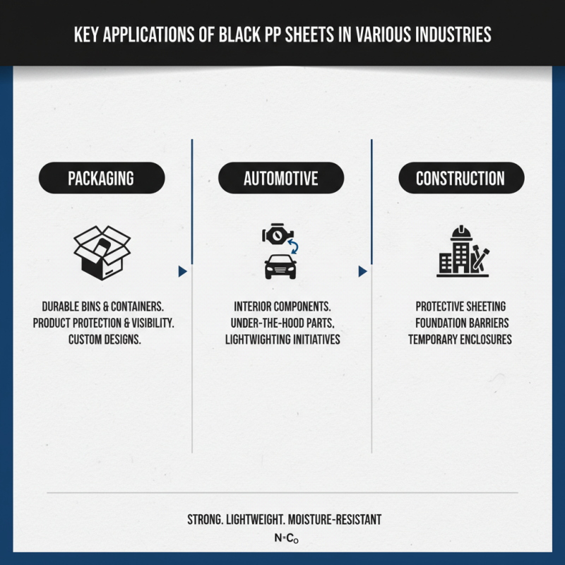 2026 Top Black PP Sheet Uses and Benefits for Global Buyers?