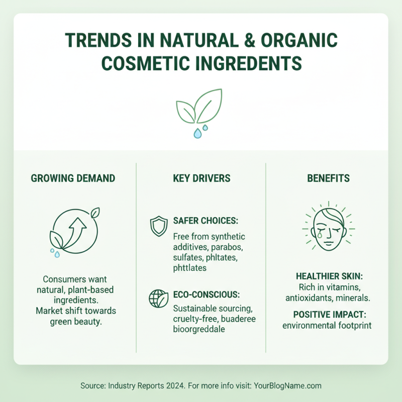 What is the Role of Cosmetic Ingredients in Skincare Products?