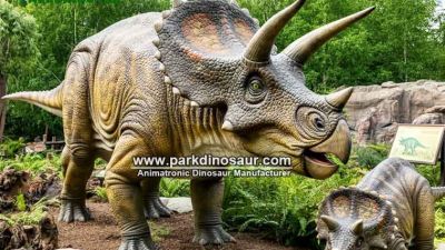 Realistic Animatronic Dinosaur Triceratops Family-03.jpg