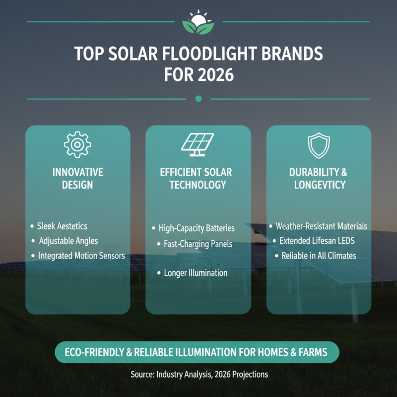 Best Outdoor Solar Floodlights for 2026 Are They Worth It?