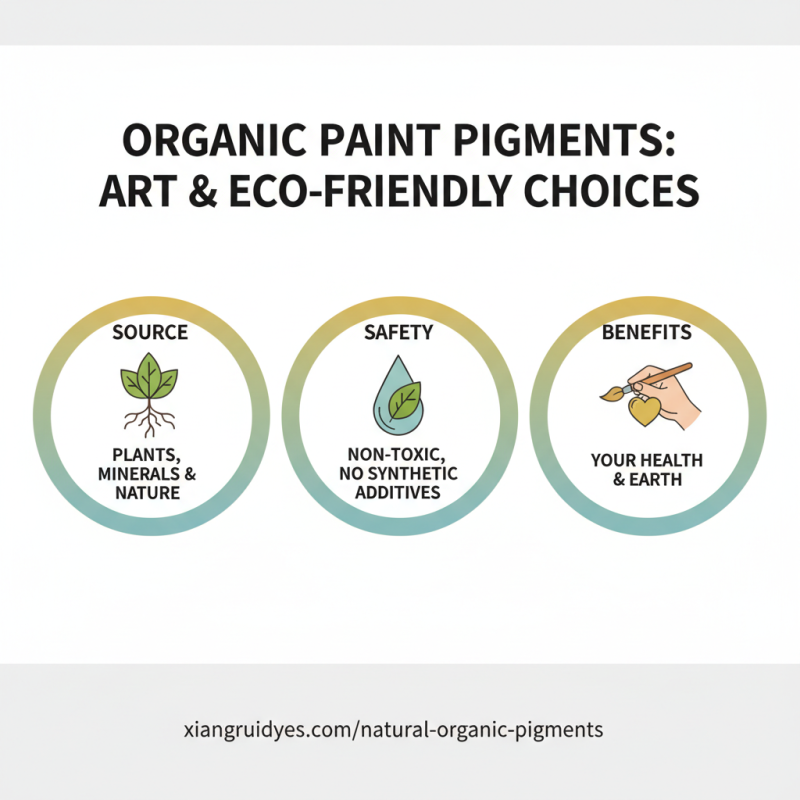 Best Cheap China Organic Paint Pigments for Eco-Friendly Art Projects?