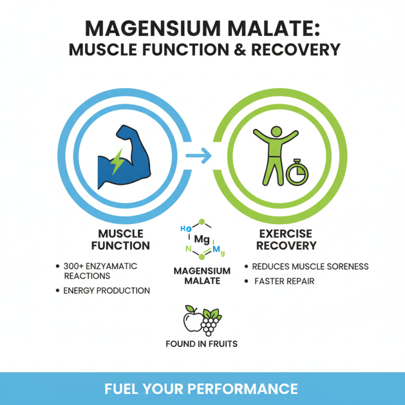 What are the Benefits of Magnesium Malate for Your Health?