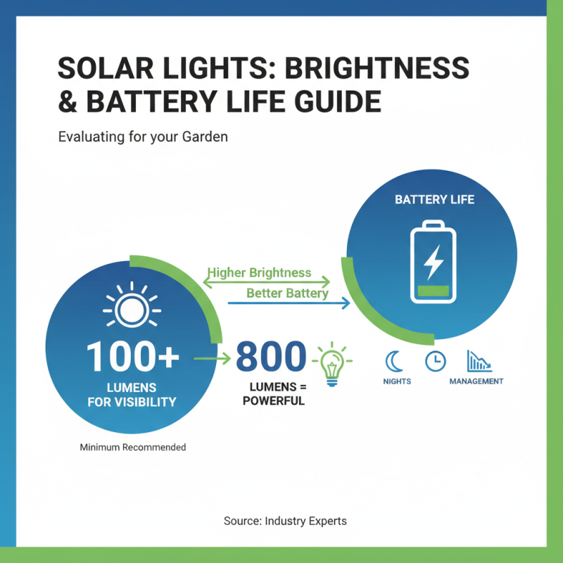 How to Choose the Best Solar Lawn Light for Your Garden?