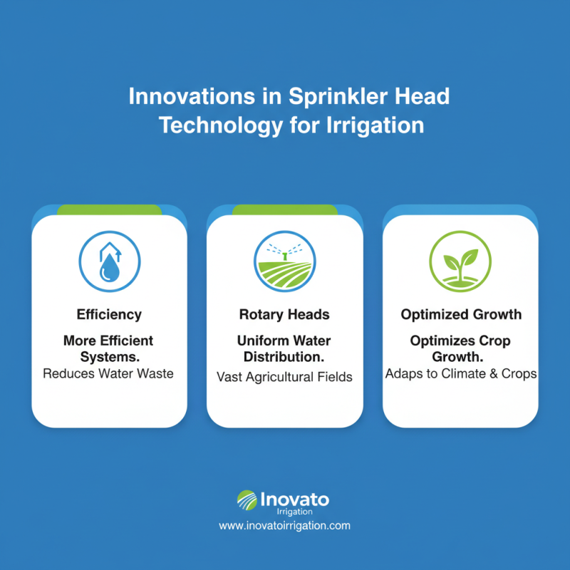 Top 10 Irrigation Sprinkler Heads for Efficient Farming?