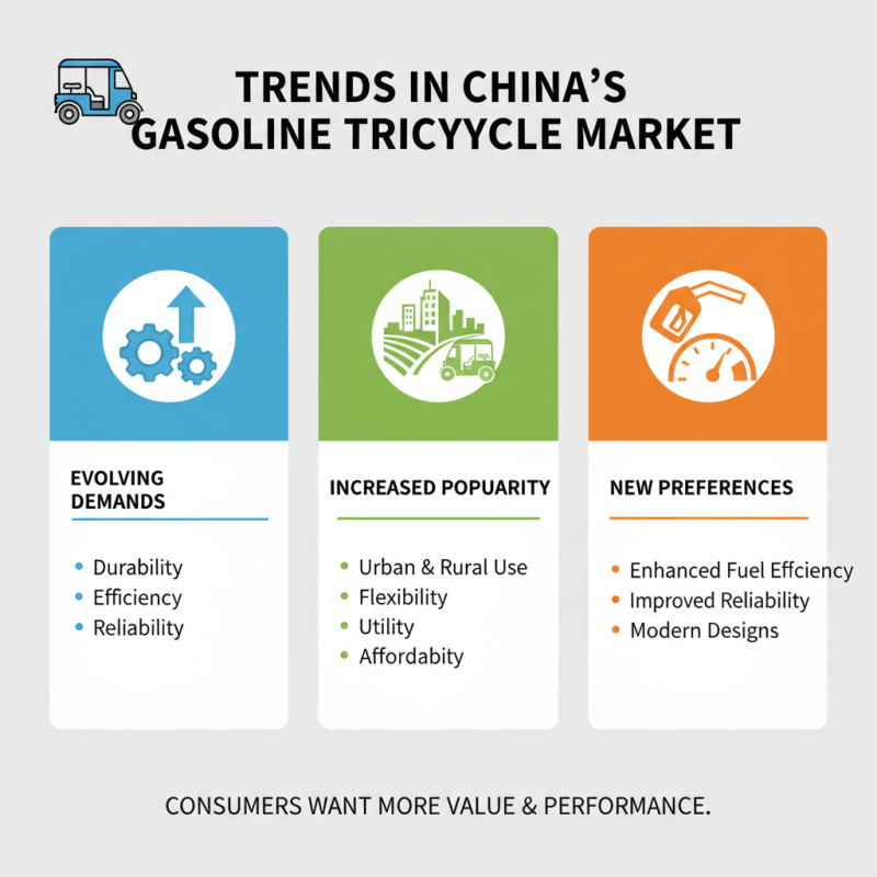 The Best Durable Gasoline Tricycles for China Wholesale Market?