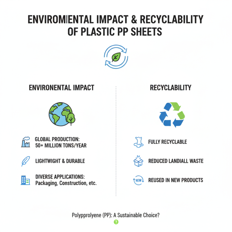 Why Choose Plastic PP Sheet for Your Next Project?