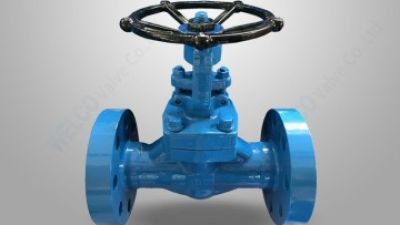 Forged steel flanged globe valve.jpg