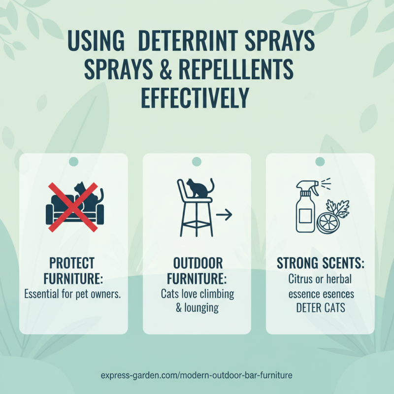 How to Keep Cats Off Your Outdoor Furniture Easily?