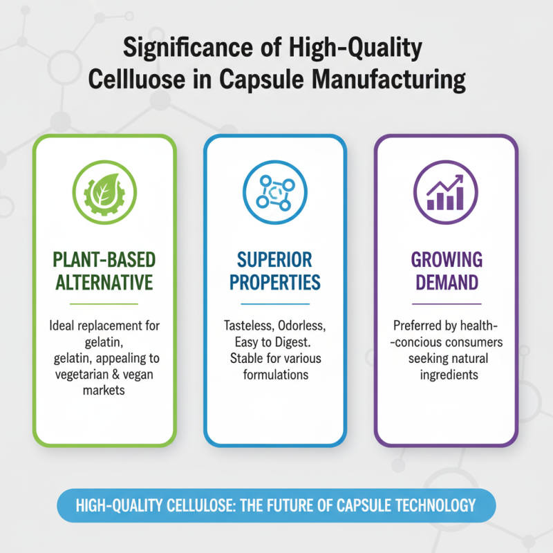 2026 Top High Quality China Cellulose Pill Capsules Exporters Guide?