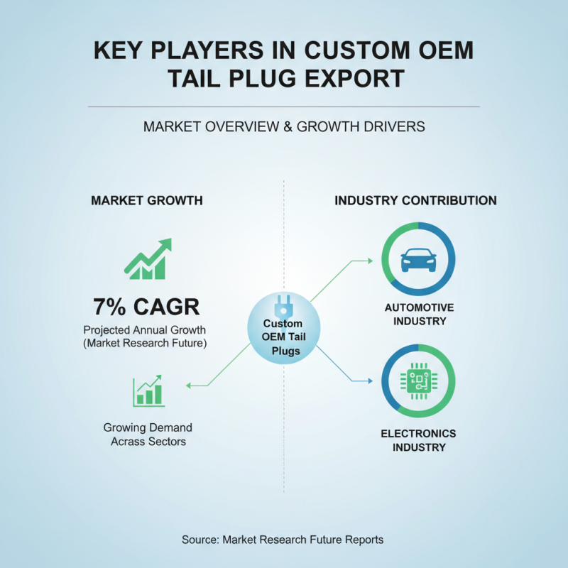 Top 10 Custom OEM Tail Plug Exporters You Should Know?