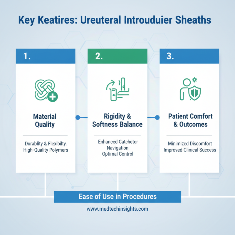 Why Choose the Best Ureteral Introducer Sheath for Your Needs?