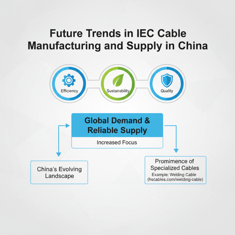 China Top 10 Best Custom IEC Cable Meaning Suppliers for Quality Cables?