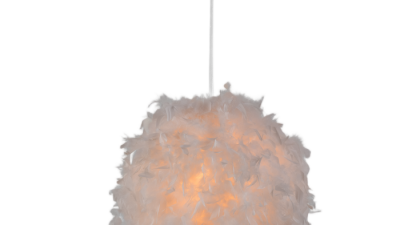 DSC_1517.png