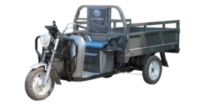 three-wheeled-electric-vehicles-wx800dzh-17.png