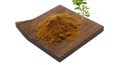 bacopa-monnieri-extract.png
