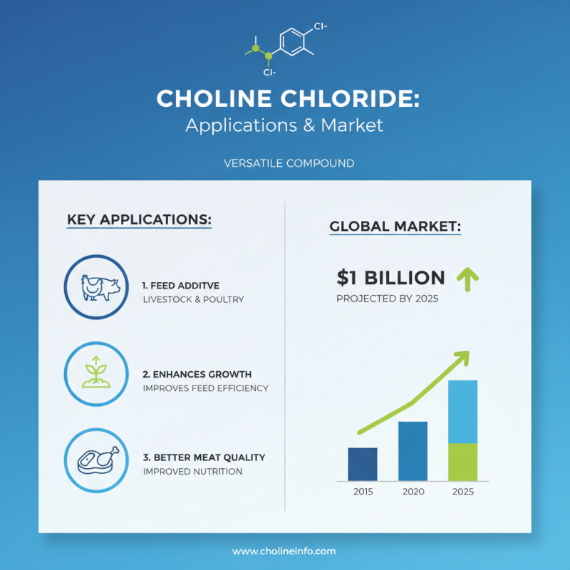 2026 Best Choline Chloride Suppliers for Global Buyers?