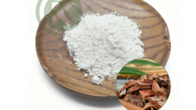 Taxifolin Powder.png