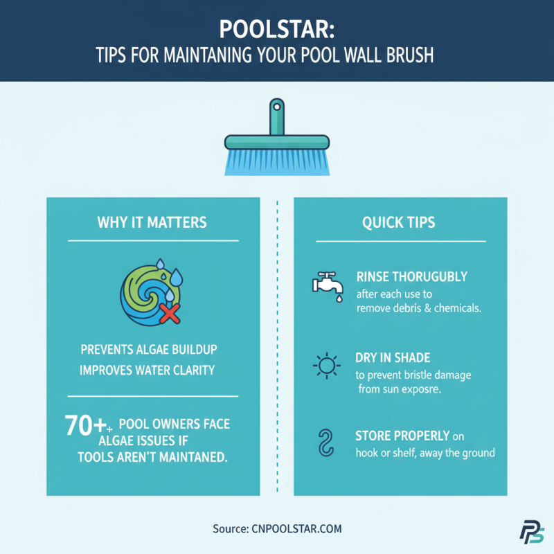 Top 10 Best Pool Wall Brushes for Effective Cleaning?