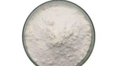 DHA Algae Oil Powder 1.jpg