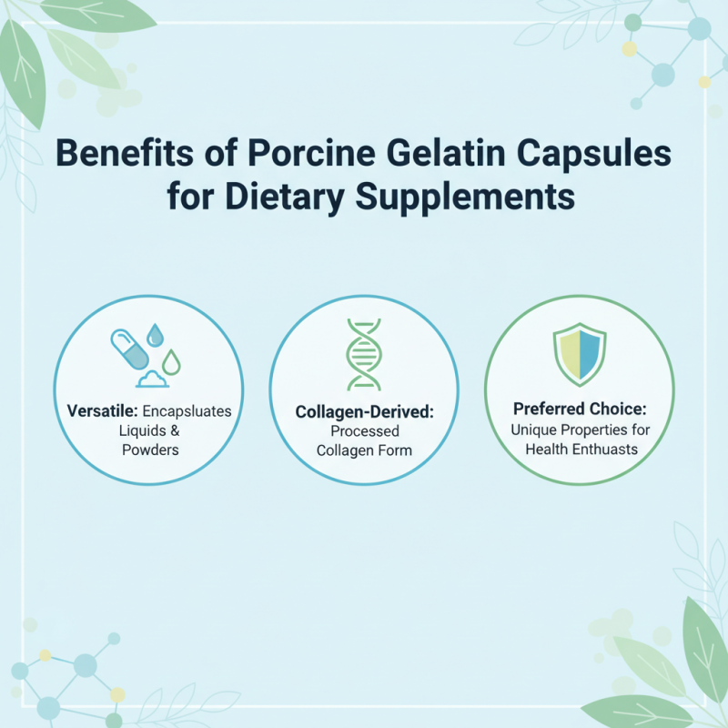 What is China Wholesale Porcine Gelatin Capsules Products and Their Uses?