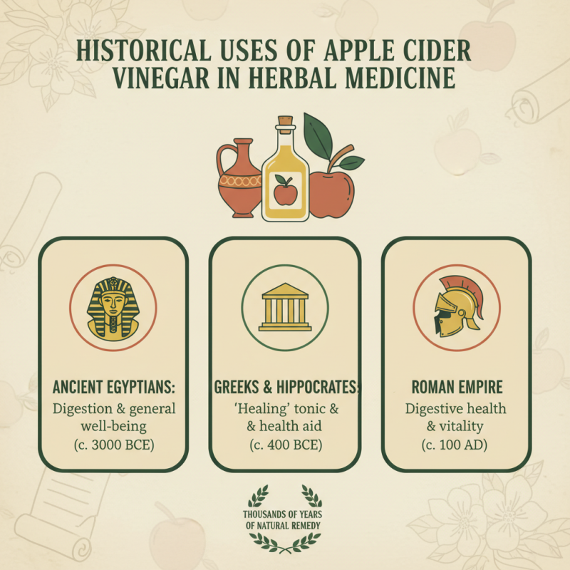 2026 How to Use Apple Cider Vinegar Powder for Health Benefits?
